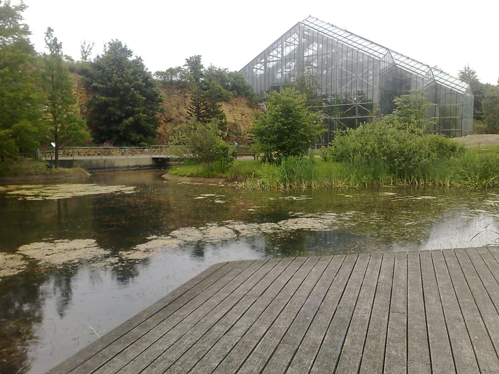 Glass House Botanical Garden